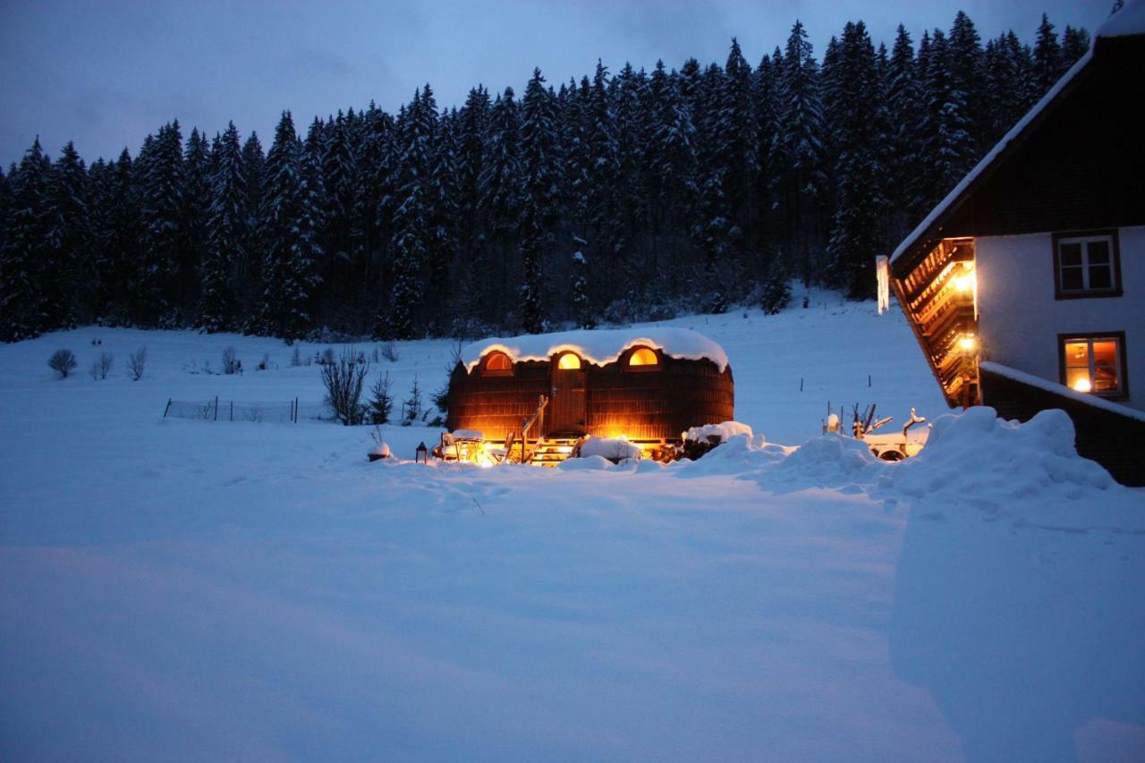 Igluhut Tiny House Winterberghof Villa Vohrenbach Exterior photo